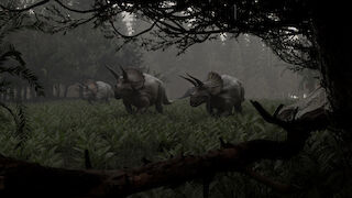 Die Triceratops-Gruppe bewegt sich auf einer Lichtung durch den Wald.