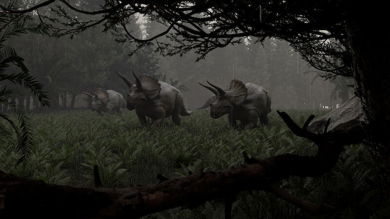 Die Triceratops-Gruppe bewegt sich auf einer Lichtung durch den Wald.