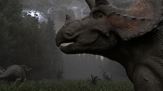 Die Triceratops gerieten in einen Sturm.