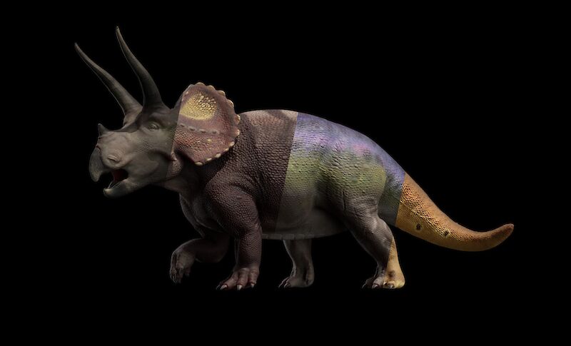 Die Farbe der Haut eines Triceratops ist noch unbekannt. Durch eine Variantenbildung suchte ich nach einer nachvollziehbaren Lösung.