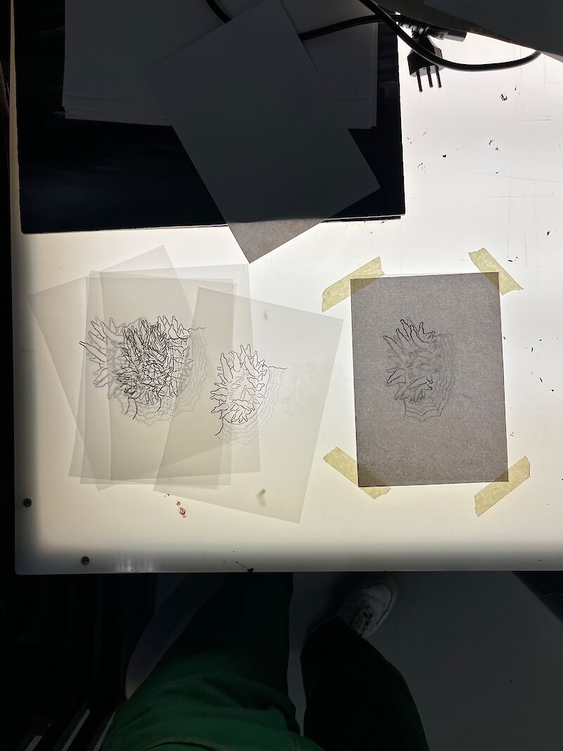 Analoge Frames auf Transparentpapier und Lichtpult.