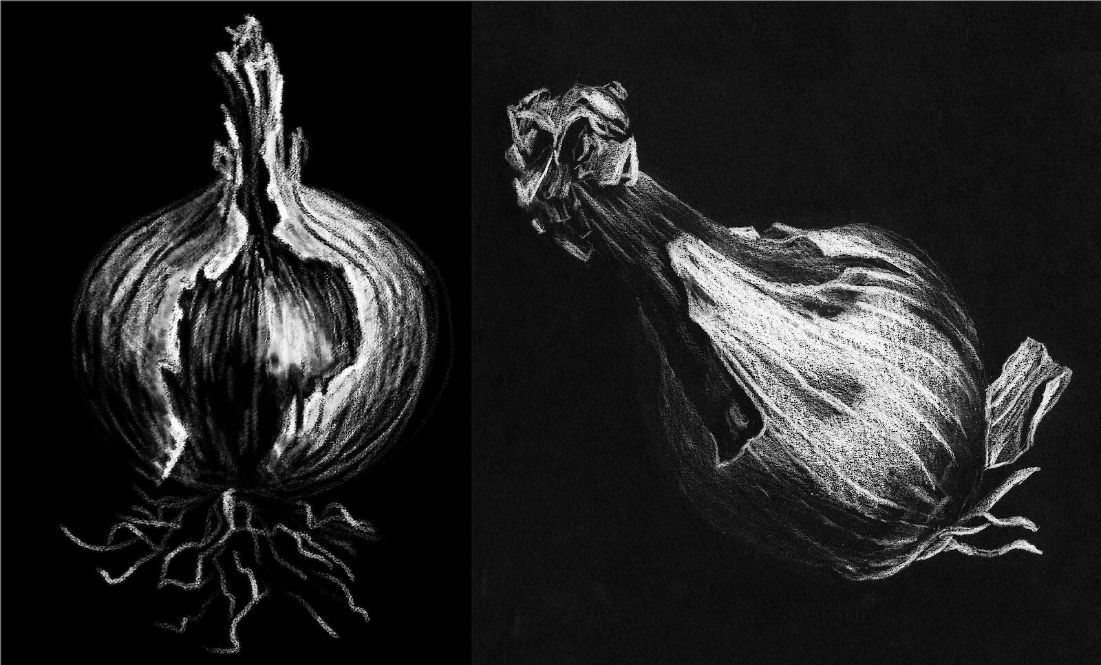 Michelle Weber, 2019