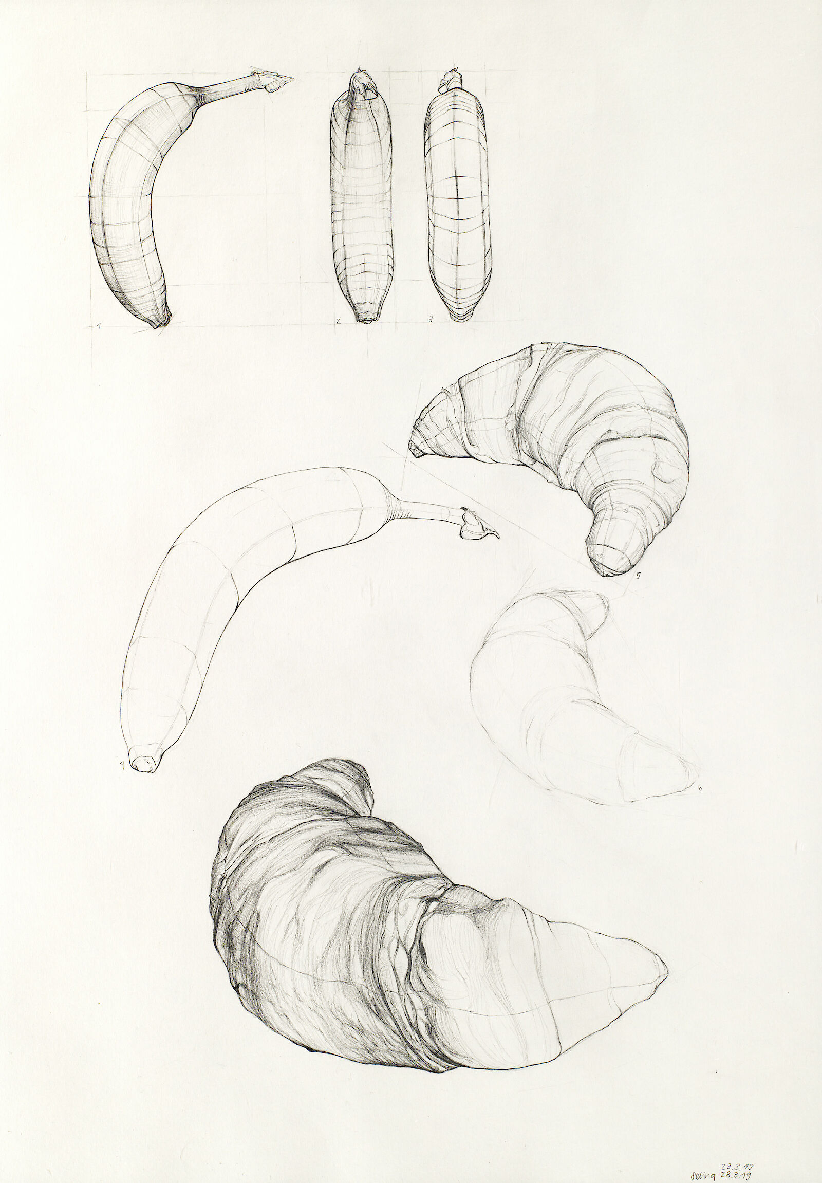 Gipfel- und Bananenstudie, Selina Bachmann