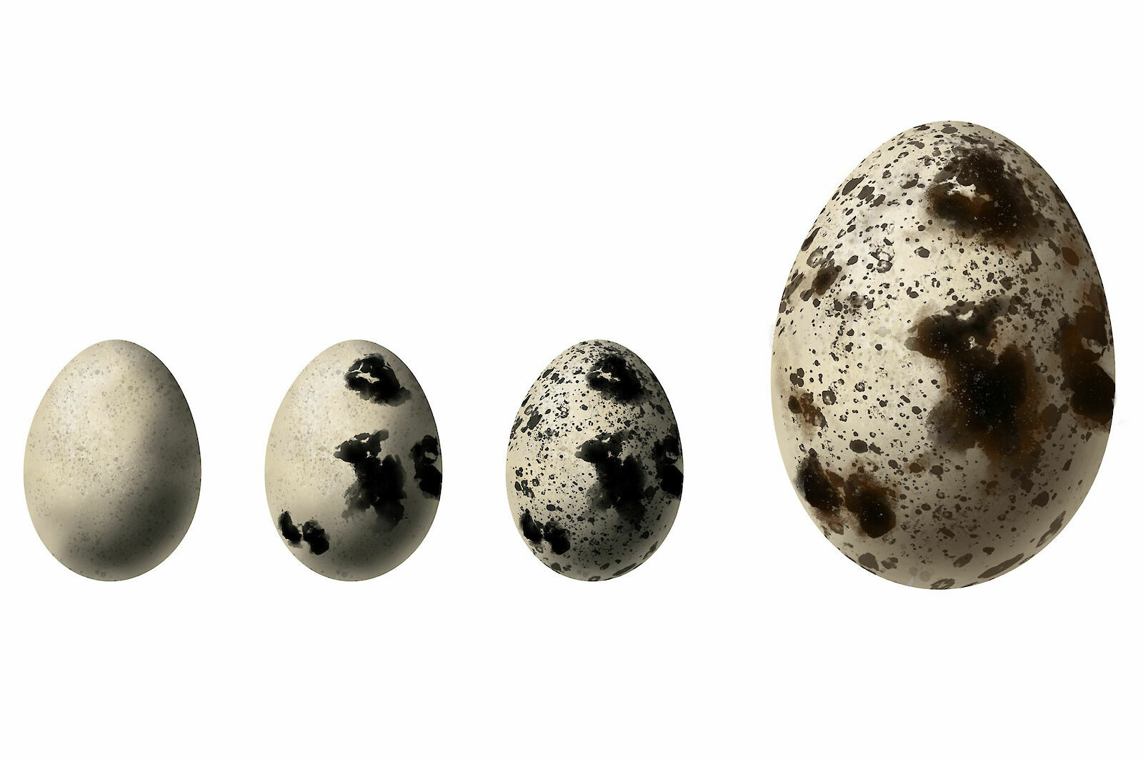 Photoshop & Bildbearbeitung