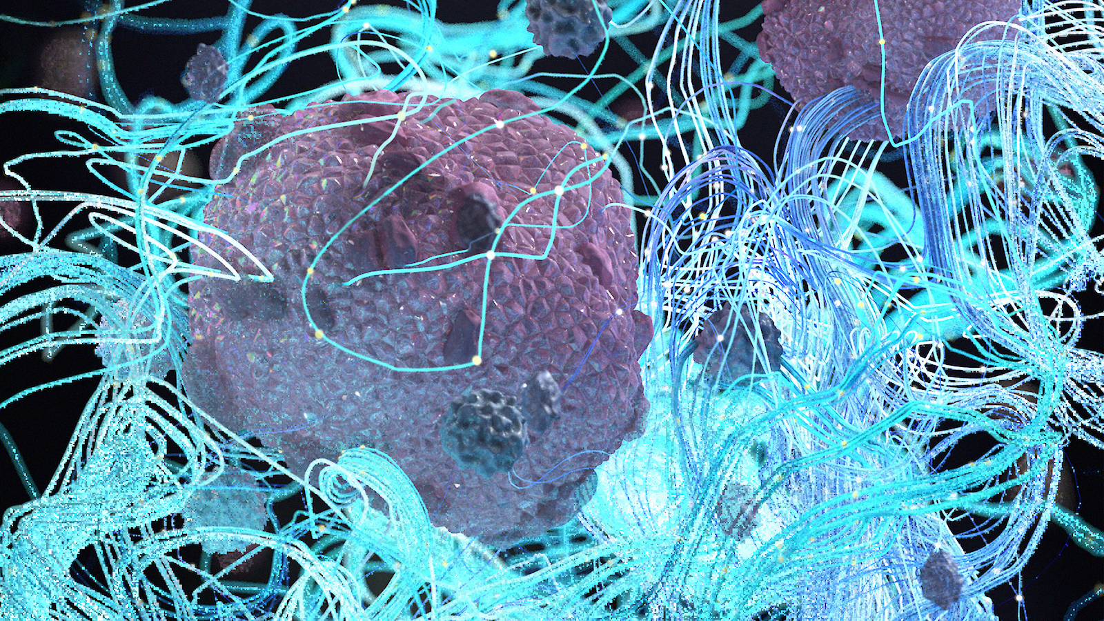 Katja Knoelliger, 2023