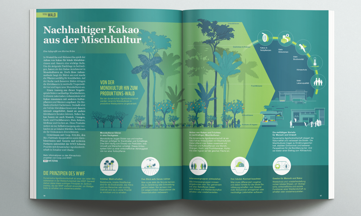 Der Auftakt macht Marina Bräm: Infografik, Storytelling, Datenvisualisierung – ein ganzheitliches Konzept.
