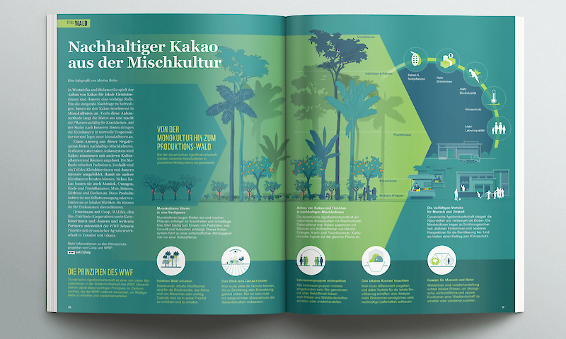 Der Auftakt macht Marina Bräm: Infografik, Storytelling, Datenvisualisierung – ein ganzheitliches Konzept.
