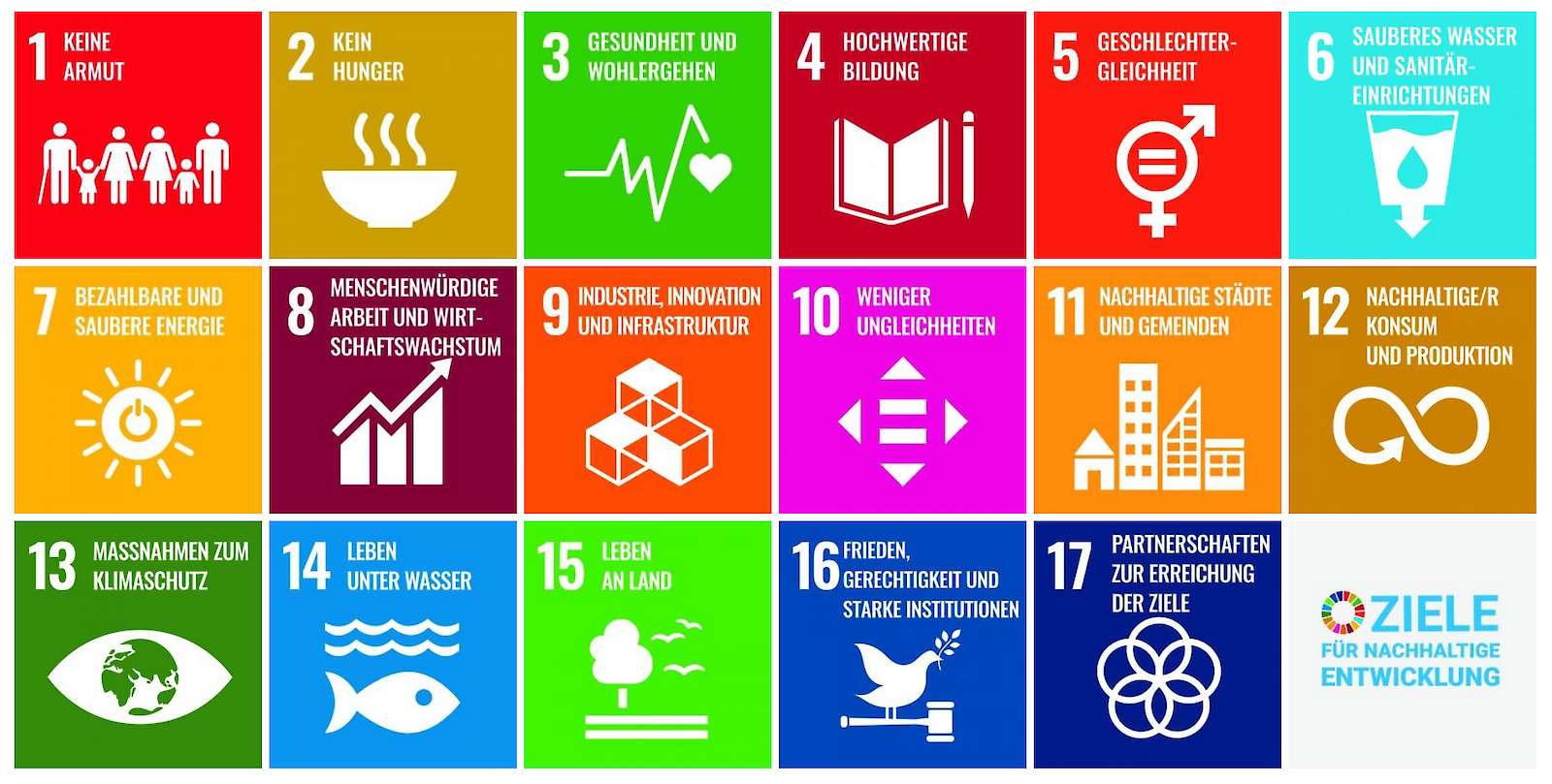 Orientierung schaffen die Sustainable Development Goals der UN – die SDG's