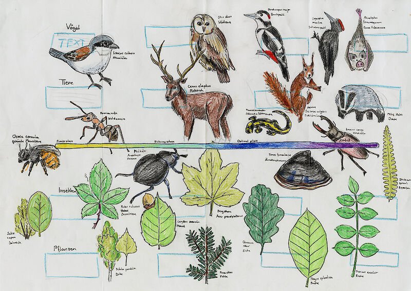 Versuch eines Beiblattes für ein verworfenes Konzept.