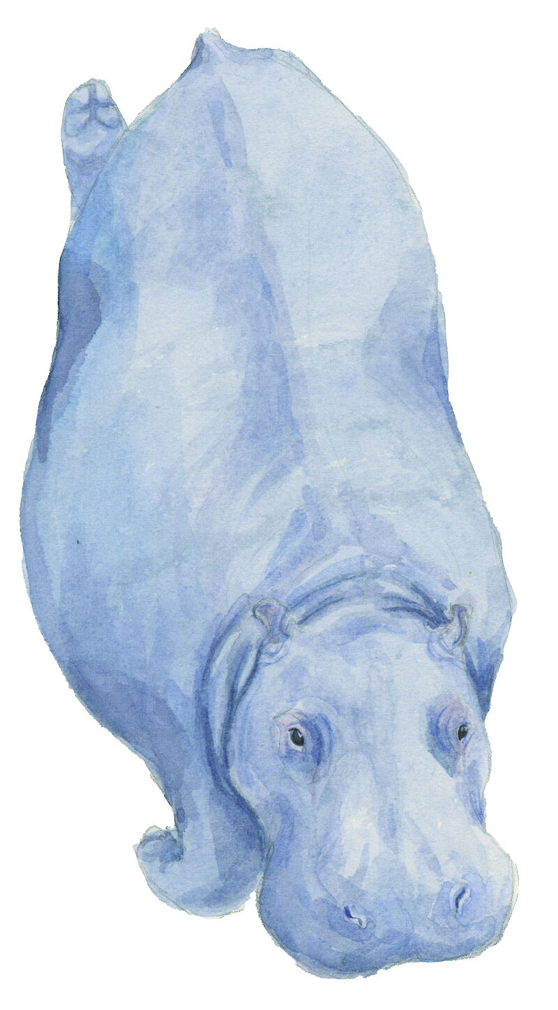 Diplom 2025