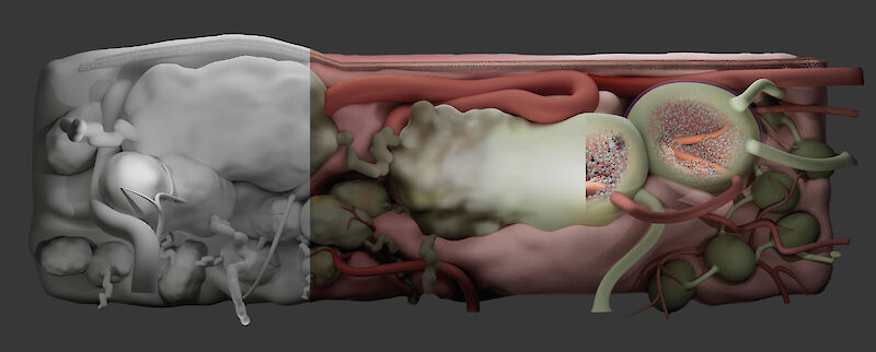 3D-Modellhafte Darstellung des Wandbildaufbaus: links ohne Farbgebung, mittig koloriert, rechts mit schematischem Einblick