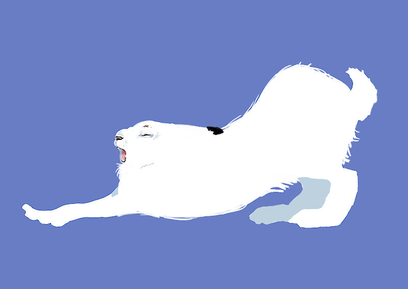 Aufwachender Schneehase. Ausschnitt einer Animationssequenz.