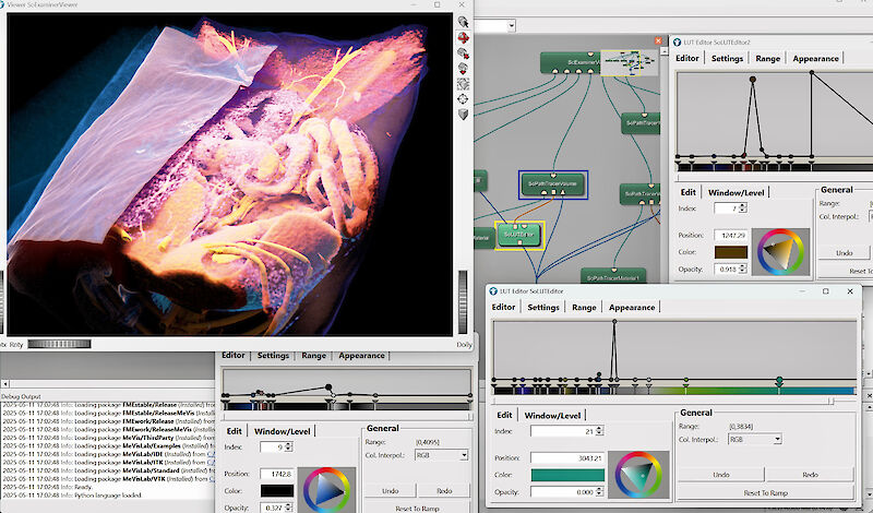 Prozessbild. Screenshot aus MeVisLab. In der Volume-Rendering-Phase werden verschiedene Dichtebereiche eingefärbt und auf ihre visuelle Wirkung getestet.