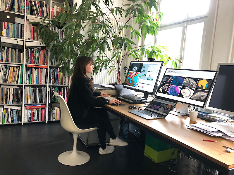 Besuch in Simon Tschachtlis Atelier. Ziel ist die Feinabstimmung der Volumen-Renderings mit Path Tracing.