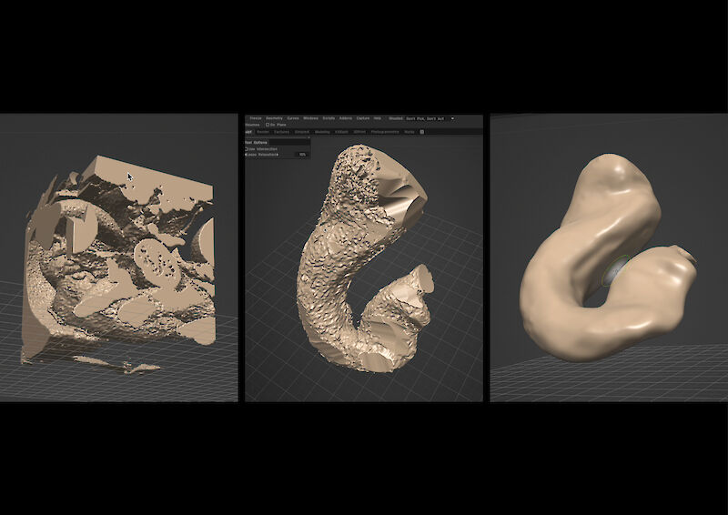 Prozessbild. Bearbeitung eines Organmodells in 3D Coat: Der Magen wird aus dem Volumen herausgelöst und oberflächlich optimiert.