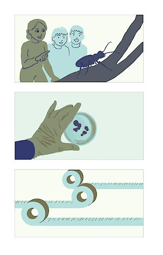 «Erste Stilprobe der Szenen» Durch die Arbeit mit Graustufen kann man Stilproben schnell einfärben um ein Gefühl für die Farbgebung zu bekommen.