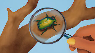 «Entdecke Tiere in der freien Natur» Das Still aus dem 2D Animationsfilm zeigt den explorativen Aspekt der Berufe mit vertieften Artenwissen, wo manche der Berufe es einem ermöglicht in der freien Natur arbeiten zu können.