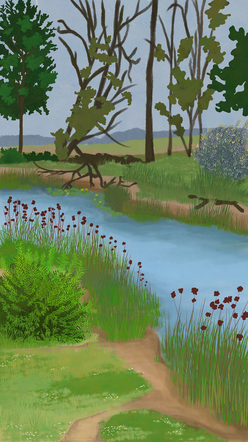Szene aus der Animation – Die Flussaue bei mittelhochem Wasserstand, zahlreiche Pflanzen säumen den Uferbereich.