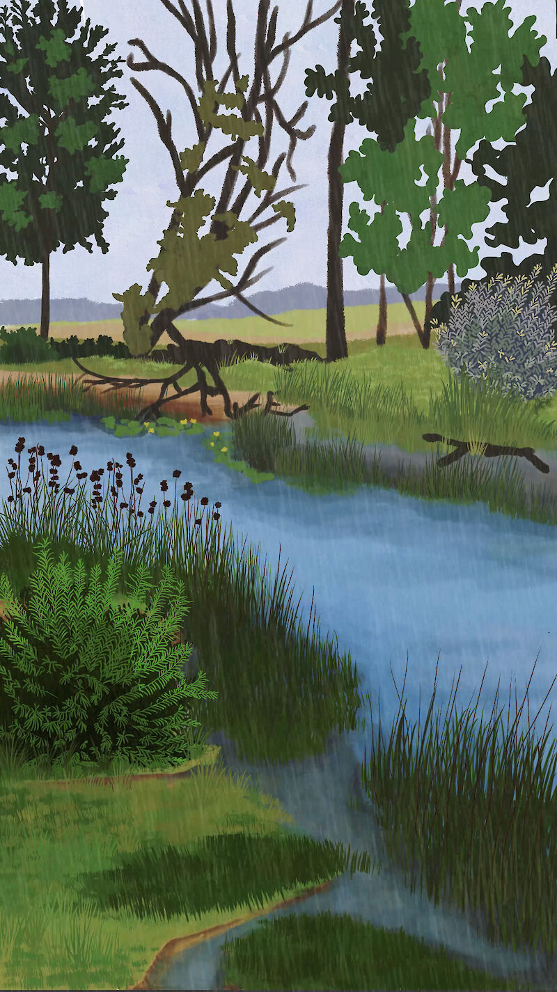 Szene aus der Animation – Die Flussaue bei Regen, die dichte Vegetation bietet Nahrung und Schutz für zahlreiche Tiere.