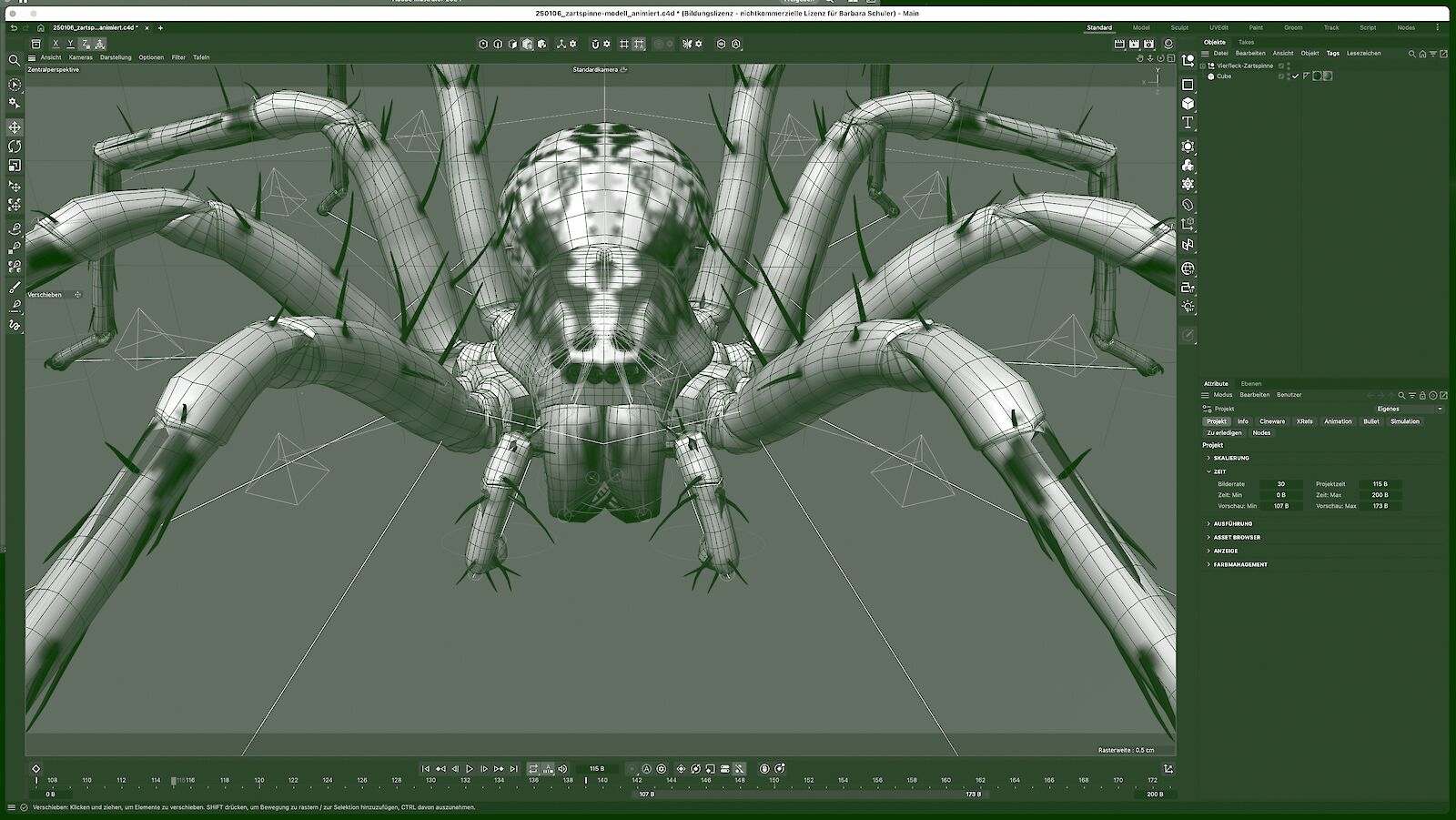 «Spinne sein» – unser Forschungsprojekt im Museum für Gestaltung Zürich