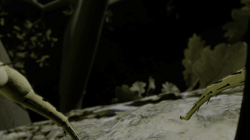 «Spinne sein» – unser Forschungsprojekt im Museum für Gestaltung Zürich
