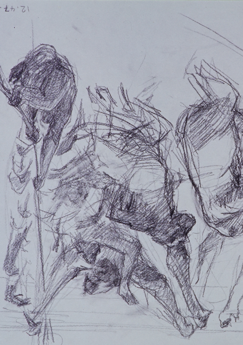Oreopithecus bambolii