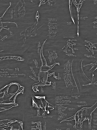 Skizzen aus der Arbeit – Formen und Anatomie.
